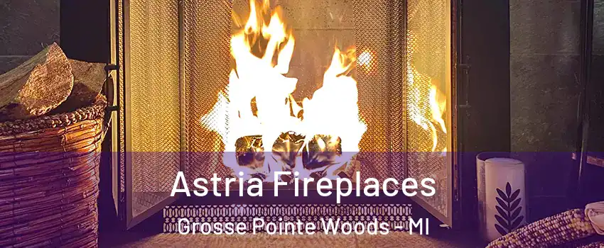  Astria Fireplaces Grosse Pointe Woods - MI