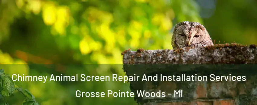  Chimney Animal Screen Repair And Installation Services Grosse Pointe Woods - MI