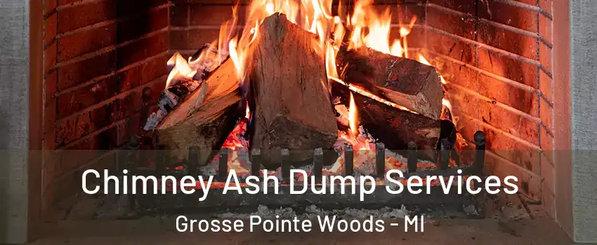  Chimney Ash Dump Services Grosse Pointe Woods - MI