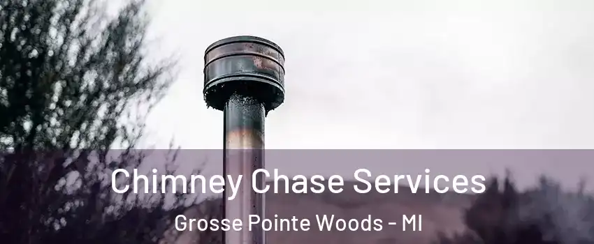  Chimney Chase Services Grosse Pointe Woods - MI