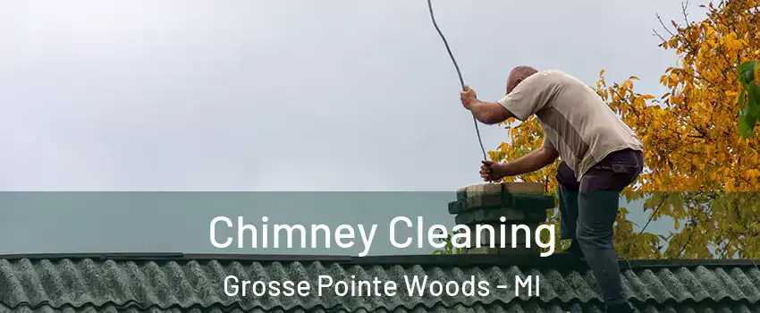  Chimney Cleaning Grosse Pointe Woods - MI