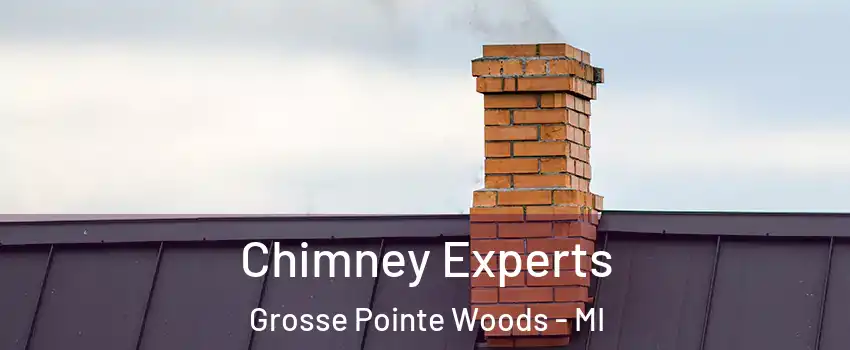 Chimney Experts Grosse Pointe Woods - MI