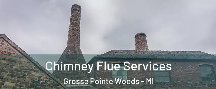 Chimney Flue Services Grosse Pointe Woods - MI