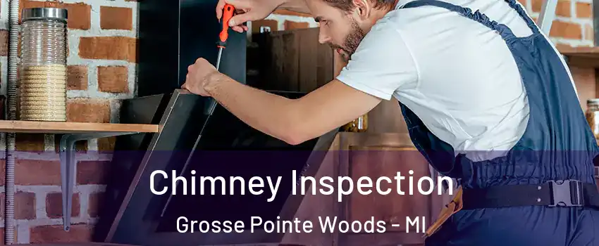 Chimney Inspection Grosse Pointe Woods - MI