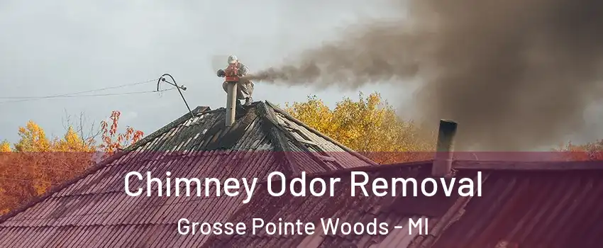 Chimney Odor Removal Grosse Pointe Woods - MI