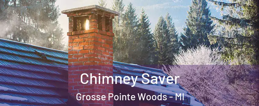 Chimney Saver Grosse Pointe Woods - MI