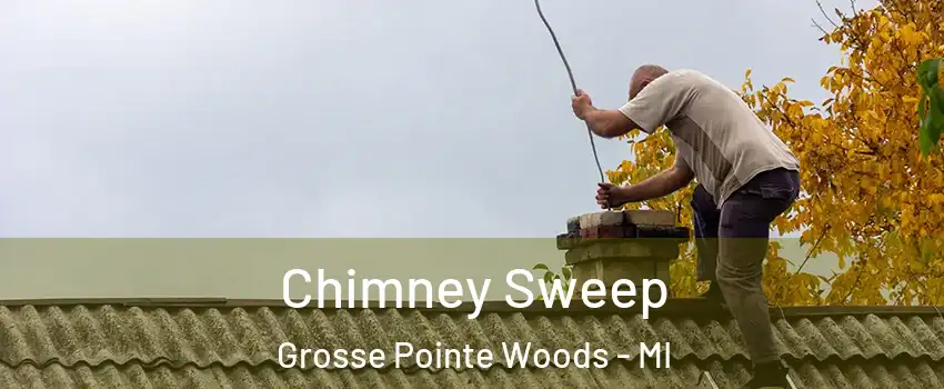 Chimney Sweep Grosse Pointe Woods - MI
