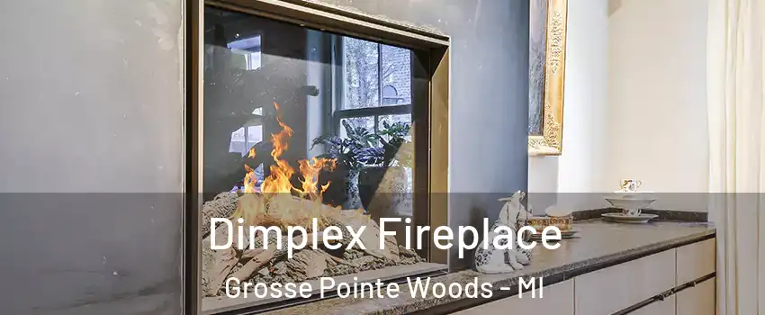  Dimplex Fireplace Grosse Pointe Woods - MI