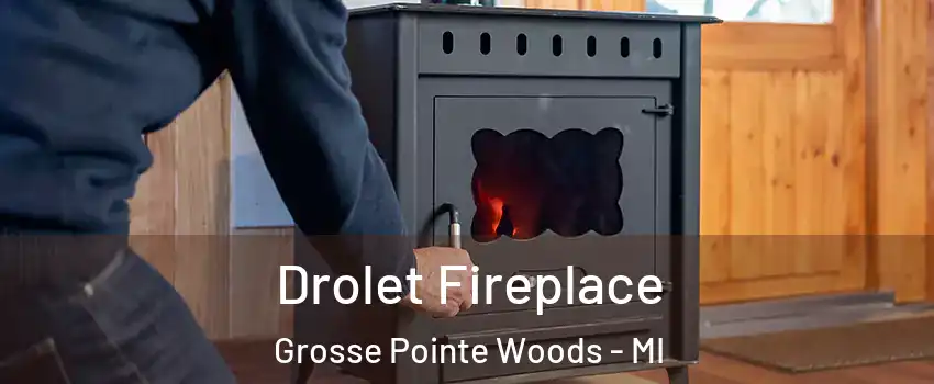  Drolet Fireplace Grosse Pointe Woods - MI
