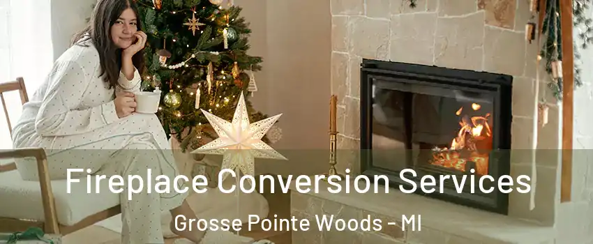  Fireplace Conversion Services Grosse Pointe Woods - MI
