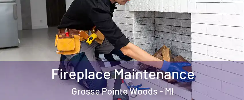  Fireplace Maintenance Grosse Pointe Woods - MI