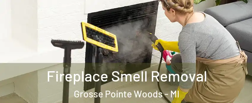 Fireplace Smell Removal Grosse Pointe Woods - MI