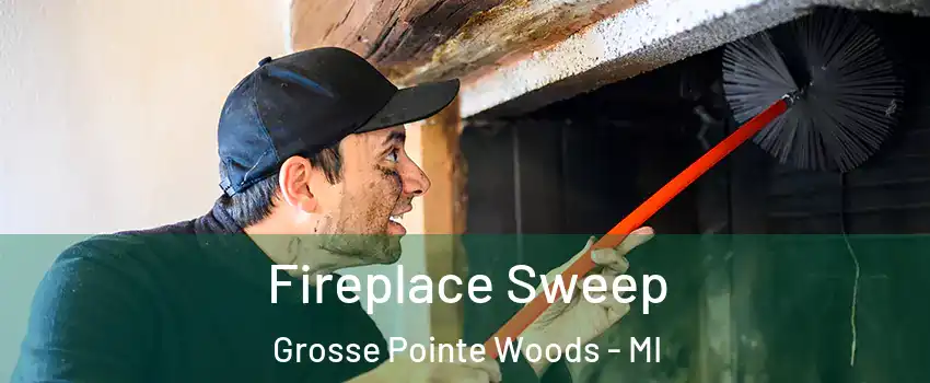  Fireplace Sweep Grosse Pointe Woods - MI
