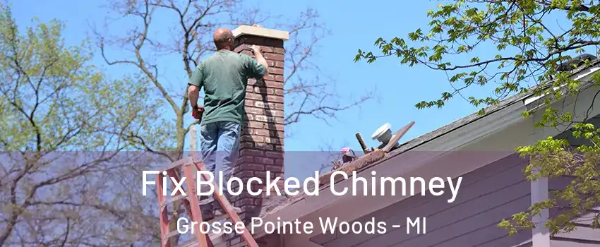 Fix Blocked Chimney Grosse Pointe Woods - MI