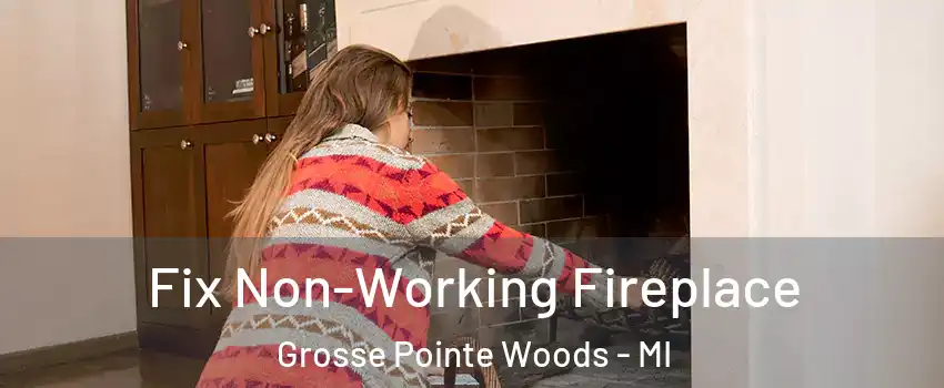  Fix Non-Working Fireplace Grosse Pointe Woods - MI