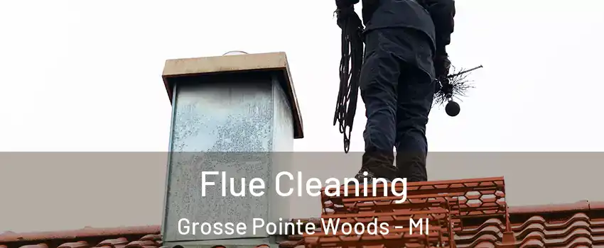 Flue Cleaning Grosse Pointe Woods - MI