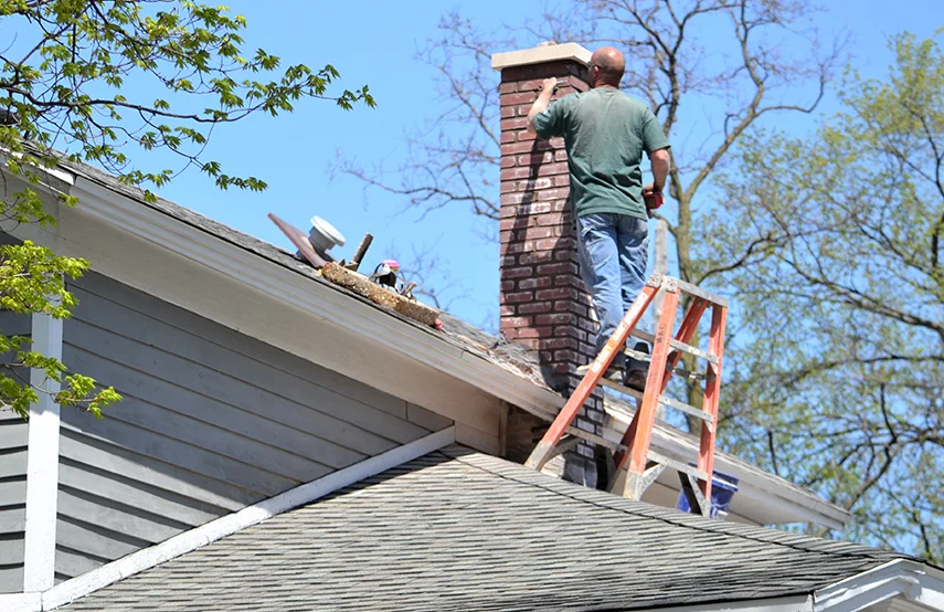 Chimney & Fireplace Inspections Services in Grosse Pointe Woods, MI
