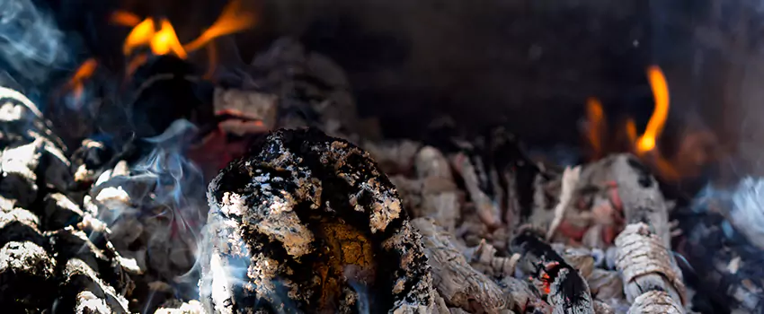 Creosote Removal Experts in Grosse Pointe Woods, MI