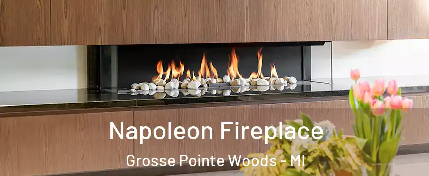  Napoleon Fireplace Grosse Pointe Woods - MI