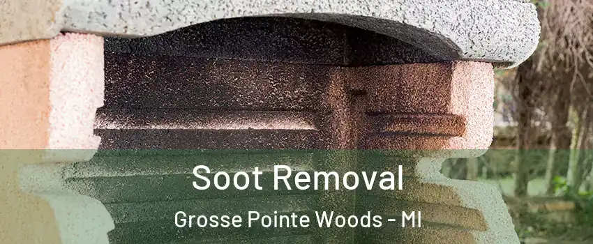  Soot Removal Grosse Pointe Woods - MI